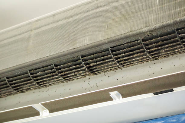 Best Commercial Air Duct Cleaning  in Oradell, NJ